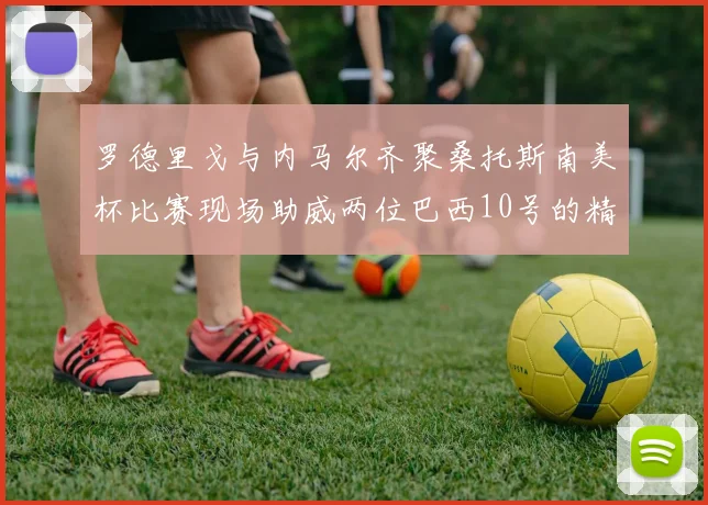 罗德里戈与内马尔齐聚桑托斯南美杯比赛现场助威两位巴西10号的精彩时刻